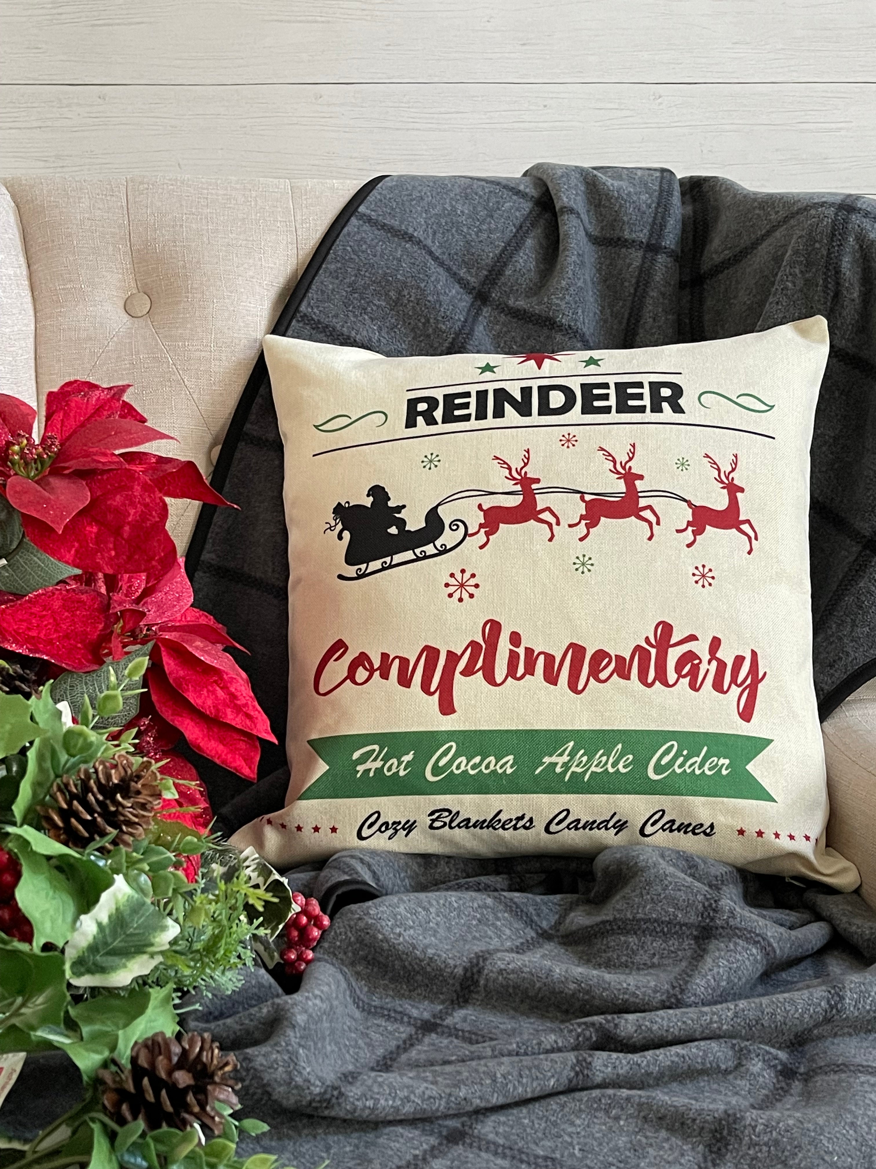 Christmas pillow clearance set